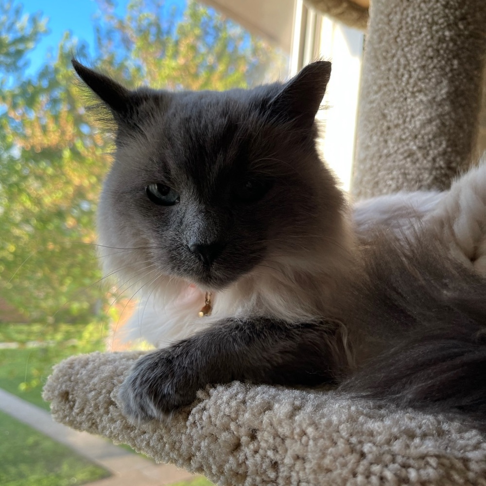 Meet your Posher, Delaney